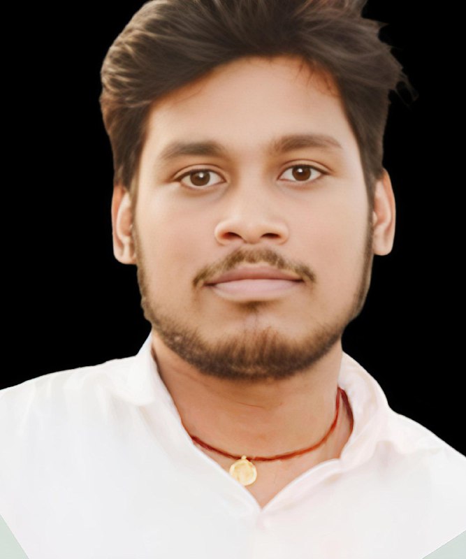 Project Manager