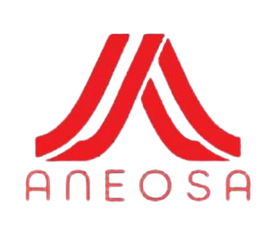 Aneosa IT Corporation Logo